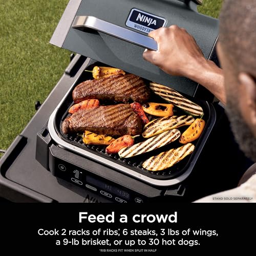 Image of Ninja Woodfire Outdoor Grill & Smoker, 6-in-1 Functionality, Grill, Smoke, Bake, Roast, Air Fry, Broil, Authentic Woodfire Flavors, Electric Heat, OG321