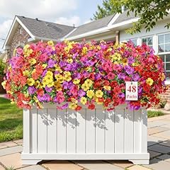 Red Rose Purple Yellow