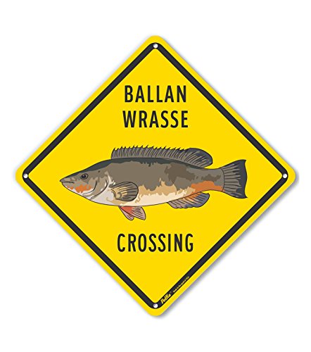Panneau aluminium Ballan Wrasse Crossing pour signalétique claire