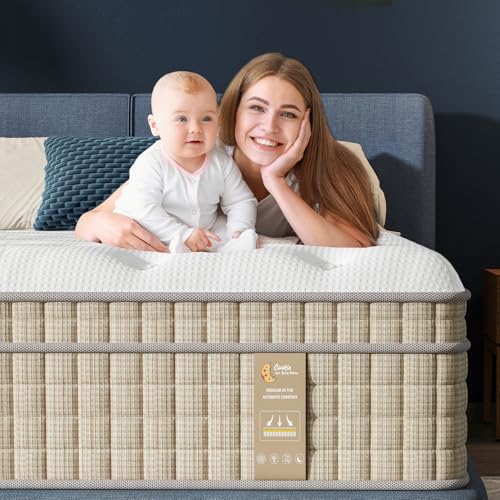 VISCOFLEX Queen Size Mattress, 12 Inch Luxury Queen Mattresses in a Box, New-Version Pillow Top Bed Mattress for Pain Relief, with Upgrade Coil Spring for Strong Back Support, Non-Toxic & Odor