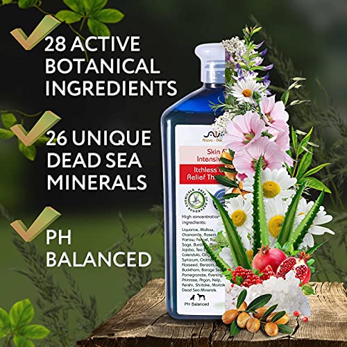 The 26 Best Dog Shampoos for Yeast Infections of 2024 [Verified