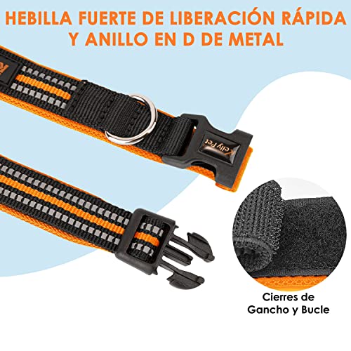 Collares Y Correas, Pet Products Imagen adicional