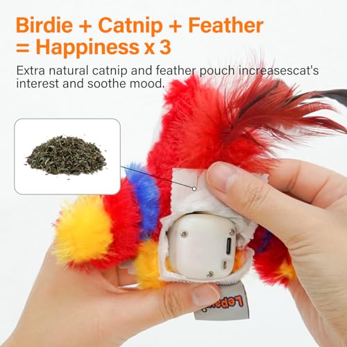 Jouet interactif pour chat tactile oiseau électrique rechargeable