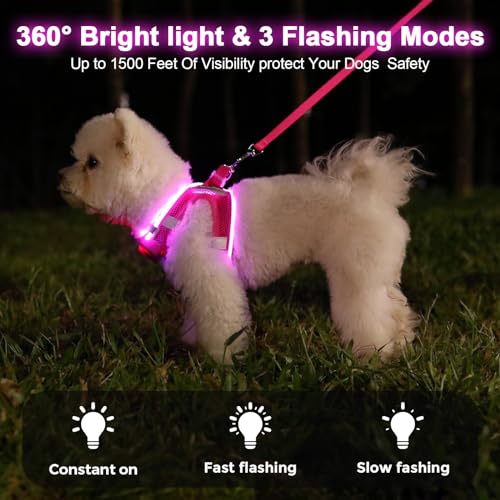 Feycig Leuchtend Hundegeschirr LED Aufladbar - Leuchtgeschirr Leuchtendes & Reflektierendes für Welpe Klein Mittlere Hund, Brustgeschirr Hundegeschirr, Atmungsaktiv Leucht Geschirr (Pink, X-Small)
