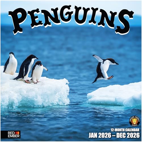 RED EMBER Penguins 2026 Wall Calendar 12 Month | 12' x 24' Open | Thick & Sturdy Paper |...