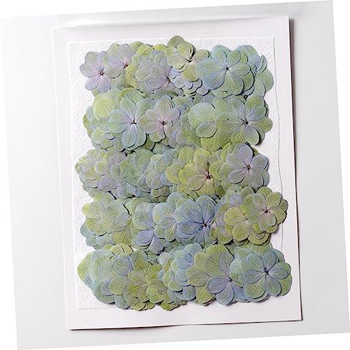 Happyyami 30pcs Flores Secas DIY para Manualidades miniatura 6