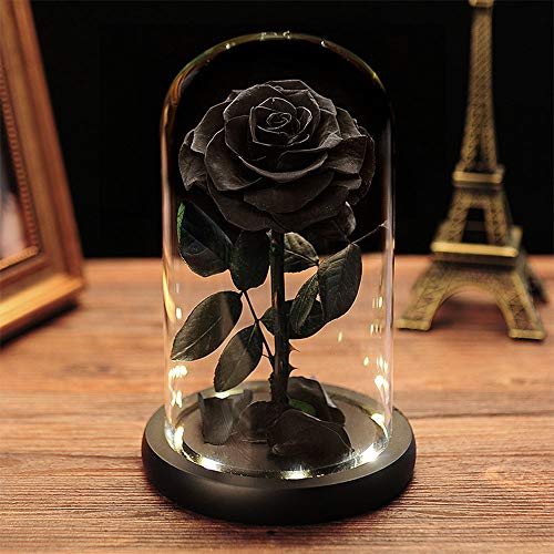 Rosa Eterna Un Regalo Duradero Que Ademas Decora