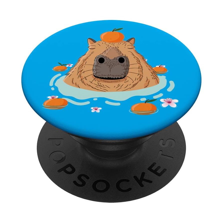 Amazon.com: Kawaii Capybara with Orange On head Kapibara-san