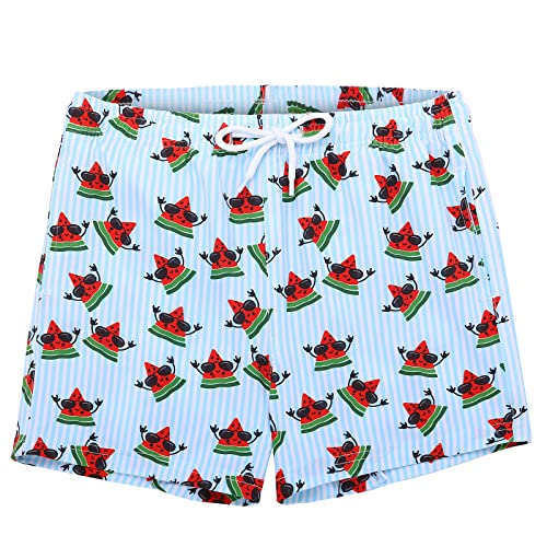Image of Biwisy Boys Swim Trunks Quick Dry Swim Shorts Little Boys Lining Swimwear Bathing Suits with Pockets