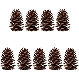 Les pommes de pin sont de jolies décorations pour les fêtes de noël, les mariages, les banquets et autres occasions, dans un style rustique