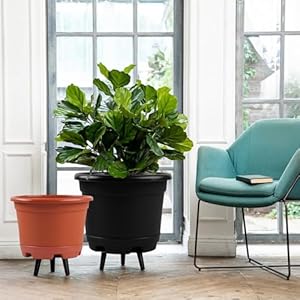 5 Pack 105 inch Plant PotsPlanter Pots for PlantsPlastic Flower Pot for Indoor Outdoor Plants with Drainage Holes Trays Decorative Garden Containers Sets for Houseplants