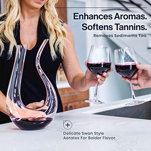 Hicoup Kitchenware HK-05 Hicoup Red Wine Decanter With Aerator - 750Ml Crystal Glass Wine Carafe And Purifier thumb #1