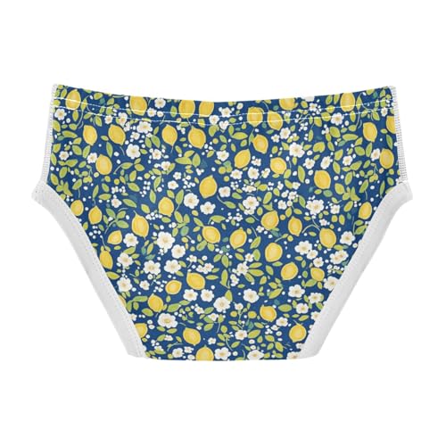 Wusikd Lemon Boys' Underwear Cotton Flowers Boys Briefs Soft Toddler Underwear 2T2