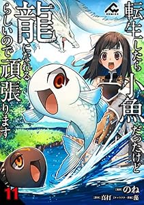 【分冊版】転生したら小魚だったけど龍になれるらしいので頑張ります 第11話 (FWコミックス)