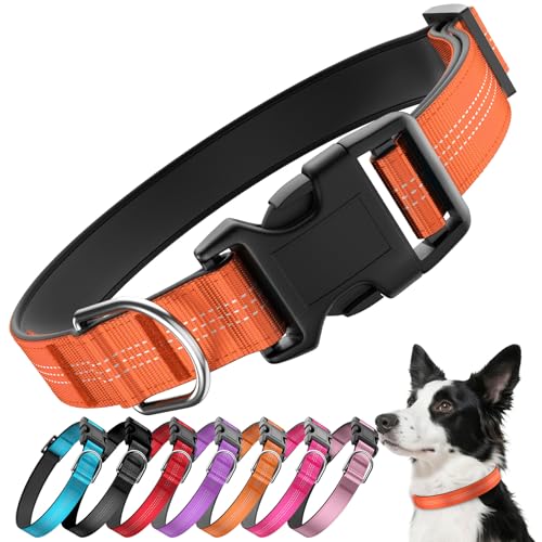 Reflective Dog Collar with Buckle Heavy Duty Dog Collars with Soft Padded Adjustable Ultra-Durable Pet Collar for Small Medium and Large Dogs (Orange S)
