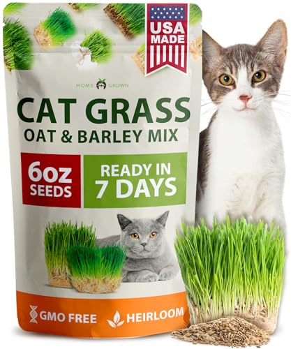 HOME GROWN Cat Grass Seeds 6 oz Heirloom Barley &