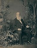 brasileirinho petropolis cardapio  Biller Antik The Emperor D. Pedro II, Petropolis, RJ. Brazil Brasile Kaiser Photo S 028