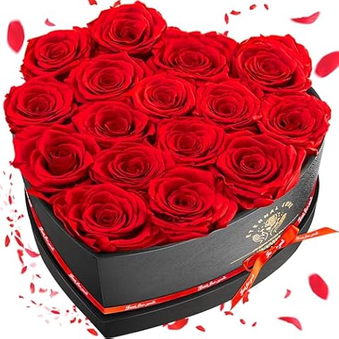Impouo 16 Preserved Flower Heart Shape Box Cover