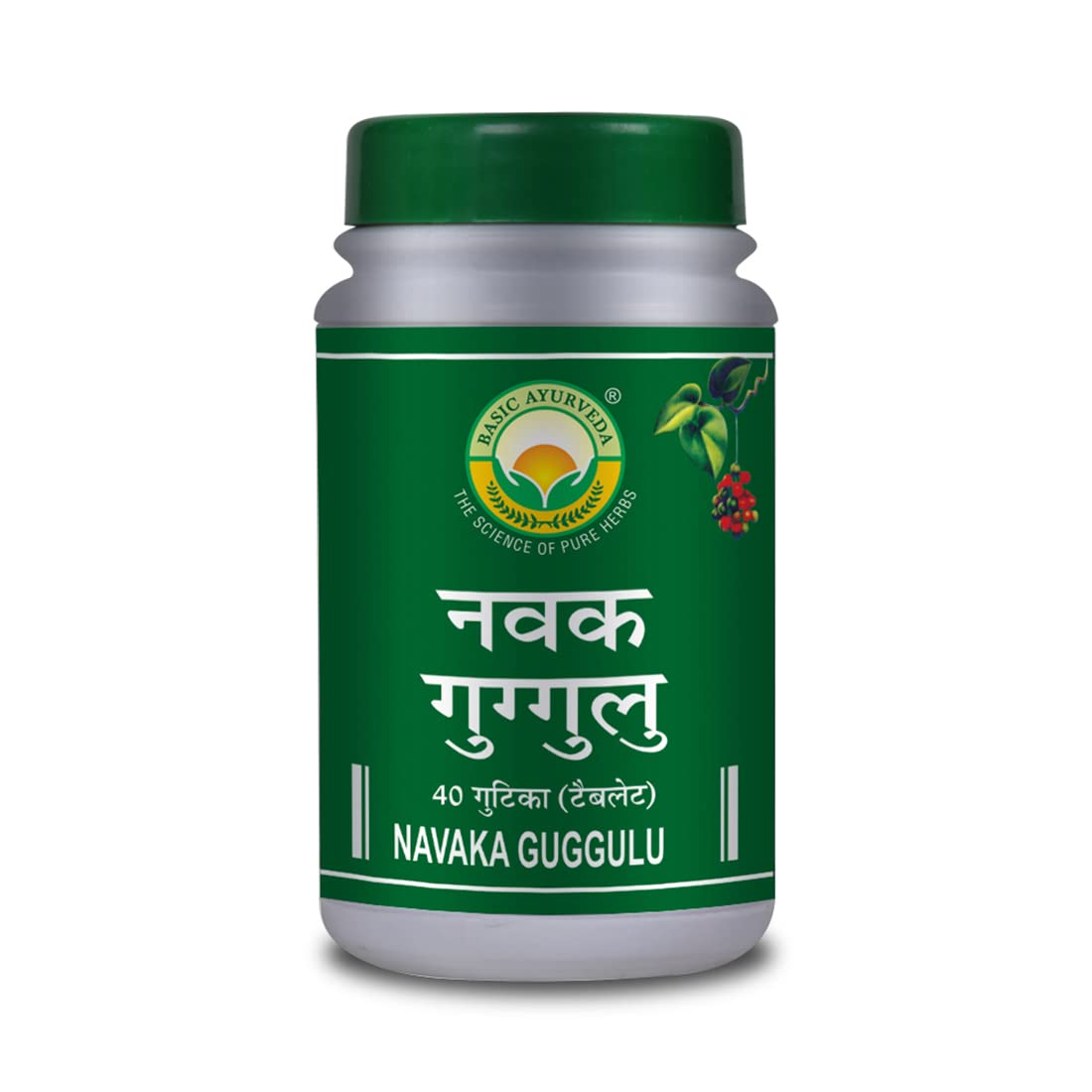 BASIC AYURVEDA Navaka Guggulu 40 Tablets Pack of 4 | (B0B31GDSY2) Amazon Price History, Amazon Price Tracker