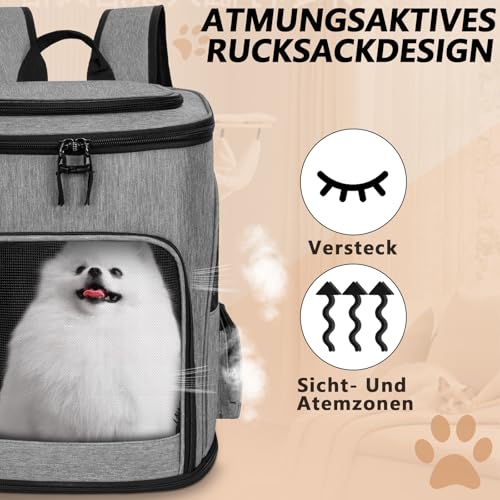 OUUTMEE Haustier-Rucksack für kleine Hunde Hundetragetasche erweiterbares faltbares Netzfenster Geeignet für Kurze Reisen Tragfähigkeit 10 kg Grau