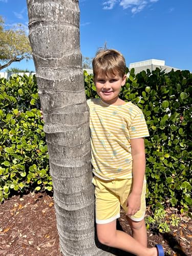 MONICA + ANDY Baby Organic Ribbed Short Sleeve Tee + Short Set2