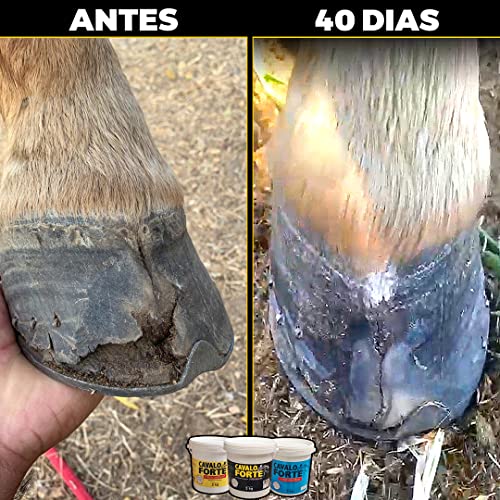 Suplemento Cavalo Forte Casco e Pelo 1kg - Suplemento Alimentar para Equinos