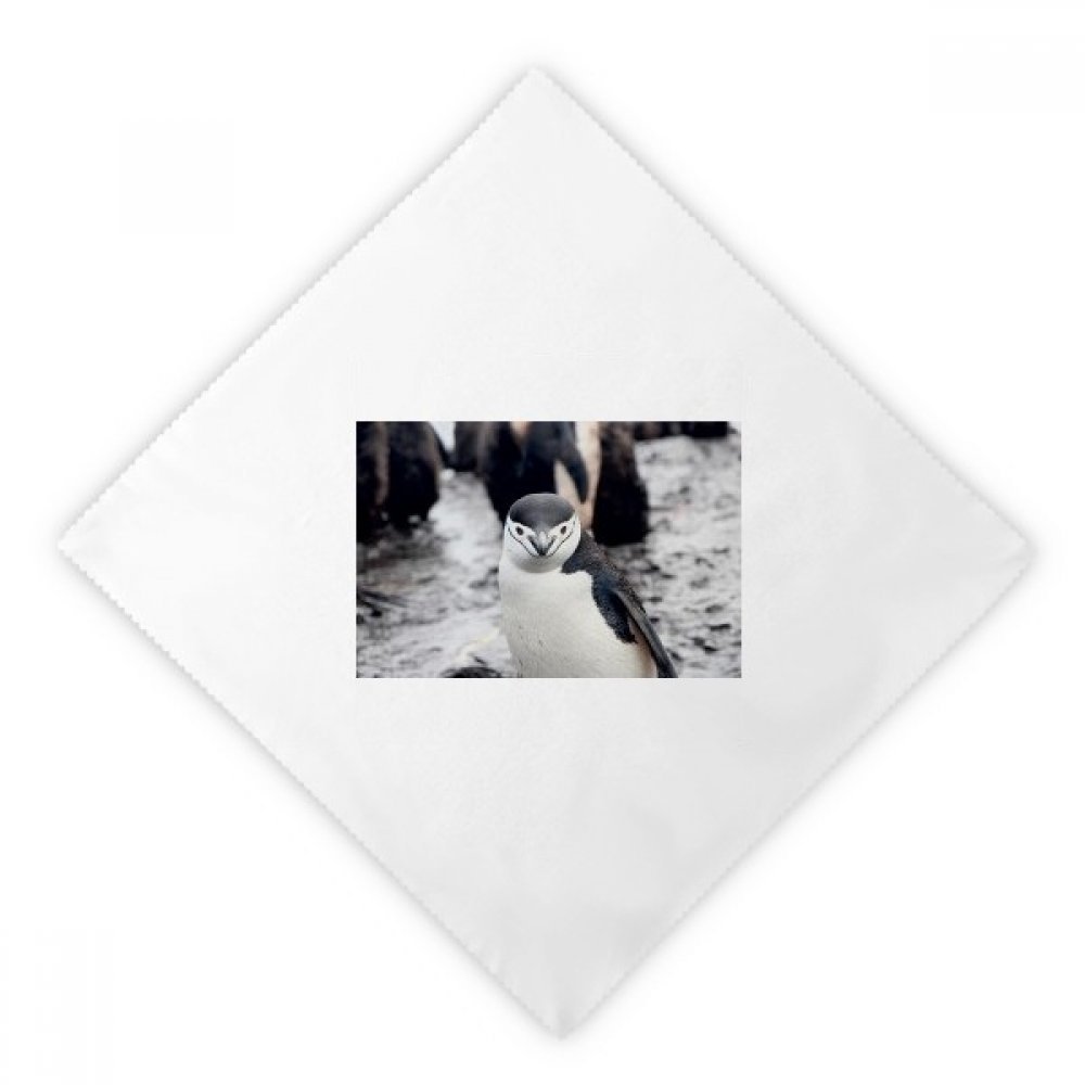 Serviettes en tissu pingouin lavables pour supprimer le papier jetable