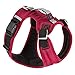 Gooby Pioneer Dog Harness with Control Handle & Seat Belt Restrain Capability, Large, Red