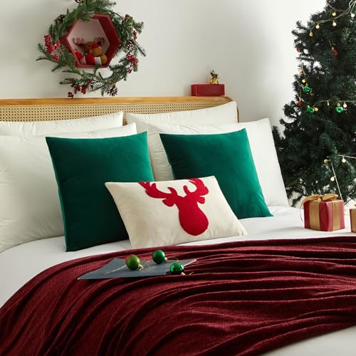 Image of JUSPURBET 16x16 Decorative Velvet Throw Pillow Covers Set of 2,Dark Green | Modern Soft Cushion Covers Cases with Hidden Zipper for Couch Sofa Bed Living Room Bedroom Christmas Decor