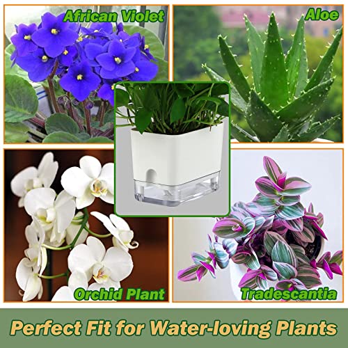 4 Pack-7" Self Watering Plant Pots For Indoor Plants, Rectangular Self-Watering Planters Box Transparent For Devil's Ivy, Spider Plant, Orchid. African Violet Pot For Home & Office. #TOP4