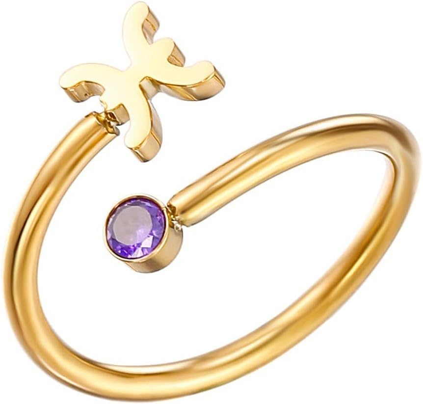 Unisex Stainless Steel Simple 12 Constellation Adjustable Open Amulet Ring Zircon Inlay