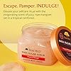 Tree-Hut-Shea-Sugar-Scrub-Tropical-Mango-18oz-Ultra-Hydrating-and-Exfoliating-Scrub-for-Nourishing-Essential-Body-Care Tree Hut Shea Sugar Scrub Tropical Mango, 18oz, Ultra Hydrating and Exfoliating Scrub for Nourishing Essential Body Care