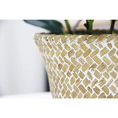 Sarosora Artificial Ficus Tree Fake Plants In Weaved Pot 20" Height For Living Room Decor Indoor Home Office Ins Style (Green, 1) #TOP5