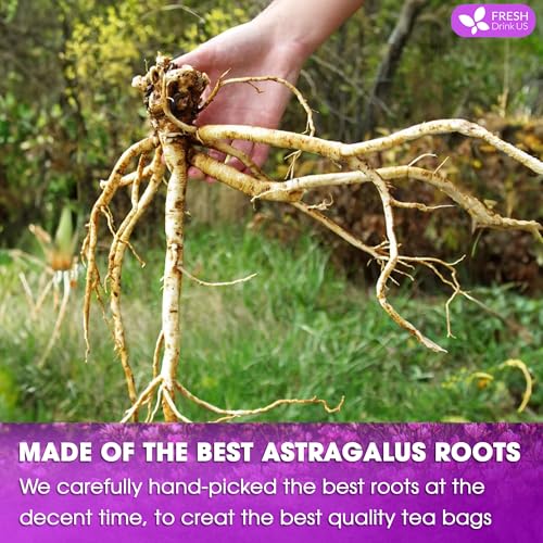 Image of FreshDrinkUS, Premium 75 Astragalus Root Tea Bags, 100% Natural & Pure from Astragalus Root. Astragalus Root Herbal Tea. Made with Natural Material Tea Bags. No Sugar, No Caffeine, No Gluten, Vegan.