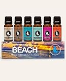 Eternal Essence Oils Beach Set of 6 Premium Fragrance Oils - Includes White Sand, Ocean Breeze, Honolulu Sun, Mermaid, Caribbean Escape, and Sun & Sand Scented Oils - 10ML