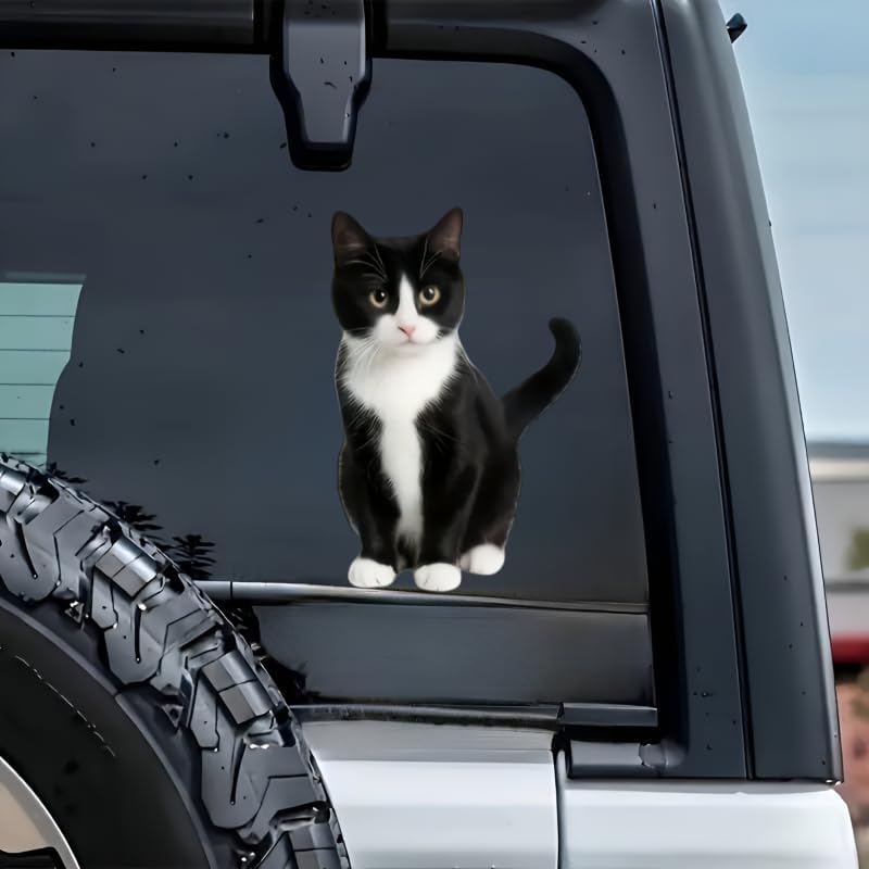 Waterproof Vinyl 5.5 Inch cat Sticker, Car Stickers, car Decals, Bumper Stickers, Decals for Vehicles, 2-Pack, Easy to Apply & Remove, for Car, Laptop, Door, Wall Decoration - Image 2