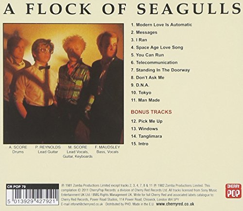A Flock Of Seagulls