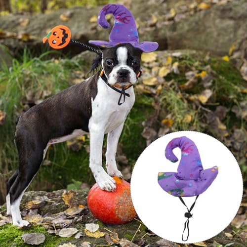 Sombrero de mascota Halloween FOMIYES disfraz gorro miniatura 2