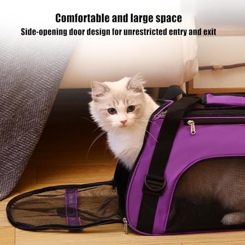 Bolso transportín para perros transpirable e impermeable para paseos exteriores 4