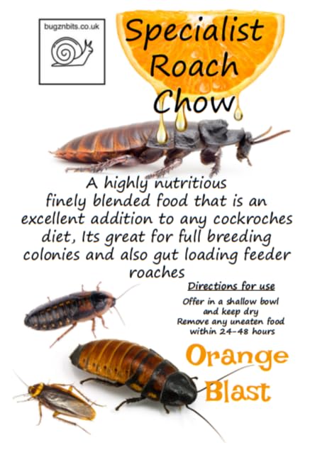 Bugznbits Roach Chow ORANGE BLAST 1KG BREEDER Pack Cockroach Food, Dubia Madagascar Hissing Cockroad Red Runner
