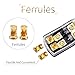 LEIGESAUDIO Copper 0/4 Gauge to 4/8 Gauge 100 Amp Mini ANL 2 Way Fuse Holder Distribution Block