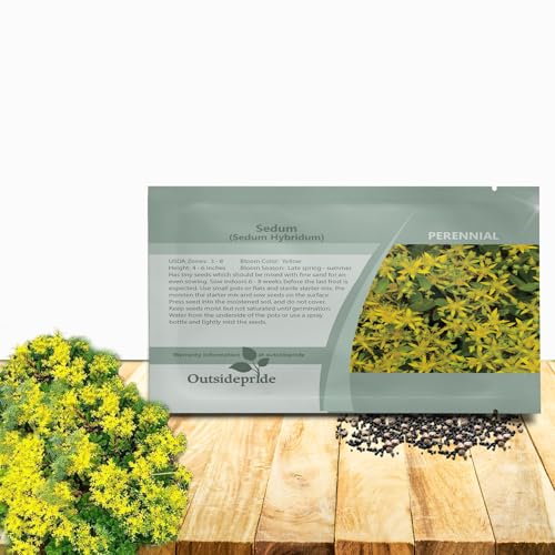 Outsidepride Hybridum Sedum Seeds - 1000 Pcs Perennial Ground Cover