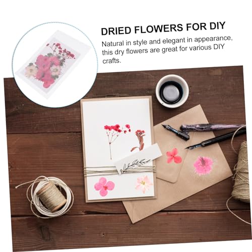 30 piezas flores prensadas secas para manualidades miniatura 5