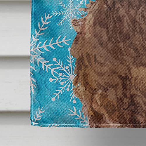 Drapeaux d'extérieur Cockapoo d'hiver grand format résistant aux intempéries - 5