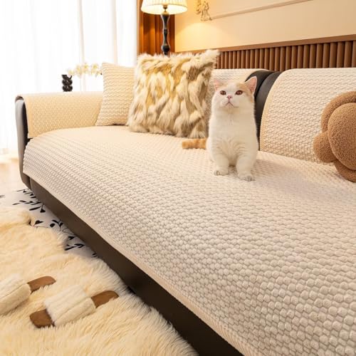 KAMIMORI \t@Jo[ 3l| 2l| 1l| ~p n \t@[pbh 邾 It IȂ ӂӂg zM ~M RۖhL ~߉H  LYh~ zc RR ʃJo[ h~ L΍ 􂦂 x