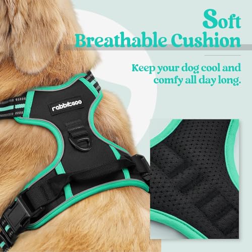 Image of rabbitgoo Dog Harness No Pull with 2 Leash Clips, Adjustable Soft Padded, Reflective Oxford No Choke Pet Vest with Easy Control Handle for Large Dogs, Black & Turquoise, XL
