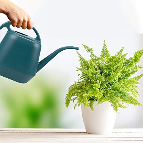 Fasmov Plastic Watering Can, 1-Gallon, Green - Image 4