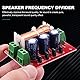 Liseng YLY-2088 Audio Frequenz Teiler 400W Einstellbare 2 Wege Frequenzweiche Filter Voller Bereich HöHen Bass Frequenz Teiler