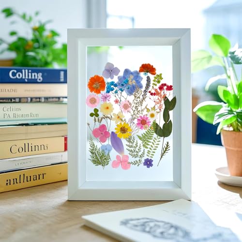 100 Piezas de Flores Secas Prensadas para Manualidades miniatura 7