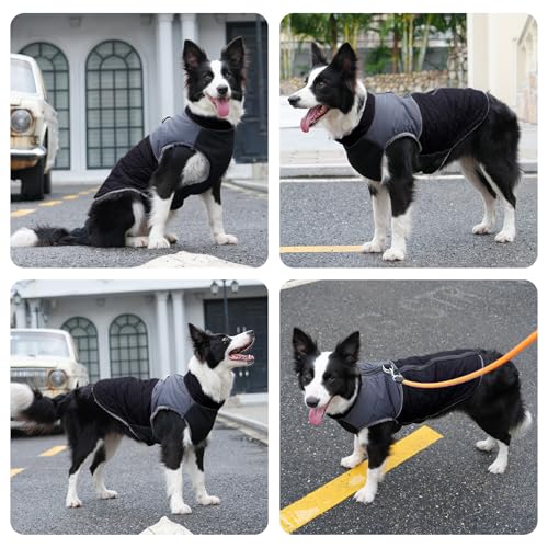 JoyDaog Warmer Fleece-Hundemantel, Hundejacke, Hundekleidung für kleine Hunde, D-Ringe, wasserdichte Welpenjacke für kalten Winter, schwarz, XS